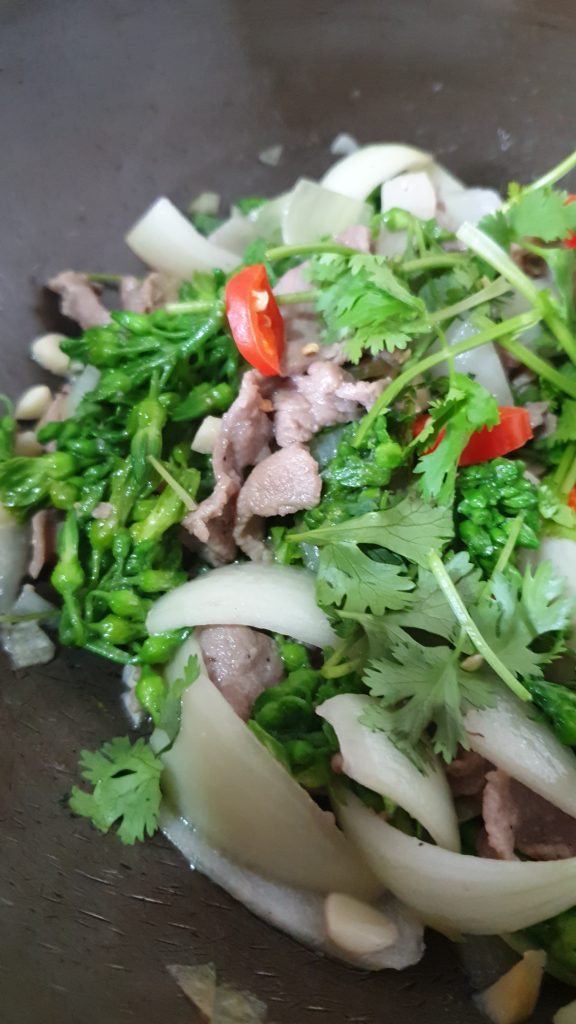 Gros plan bœuf sauté aux fleurs de Thiên Lý  - cuisine vietnamienne - tulinhduong.com