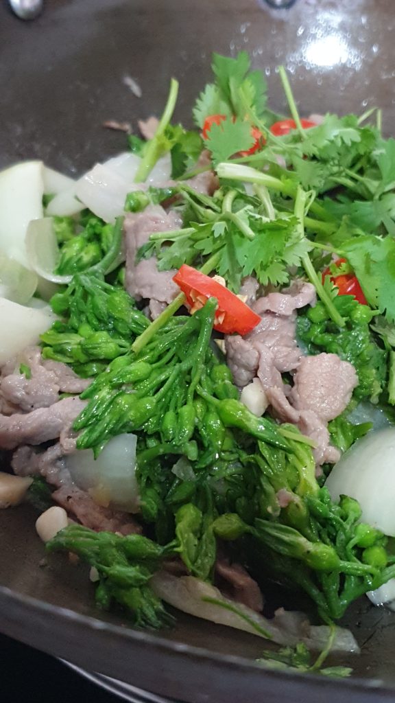 Gros plan bœuf sauté aux fleurs de Thiên Lý  - cuisine vietnamienne - tulinhduong.com