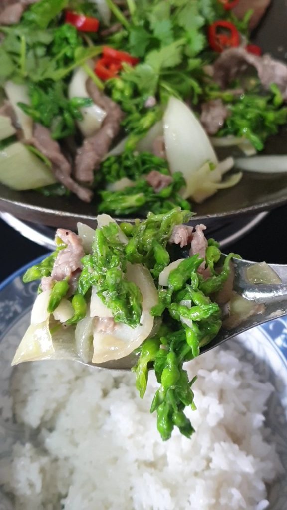Gros plan bœuf sauté aux fleurs de Thiên Lý  - cuisine vietnamienne - tulinhduong.com
